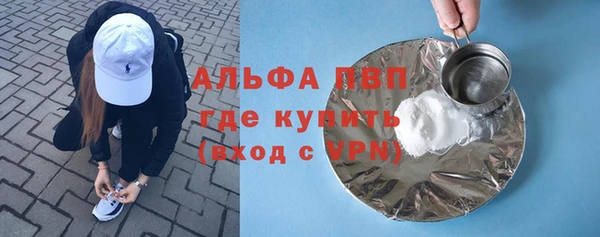 гидра Елабуга