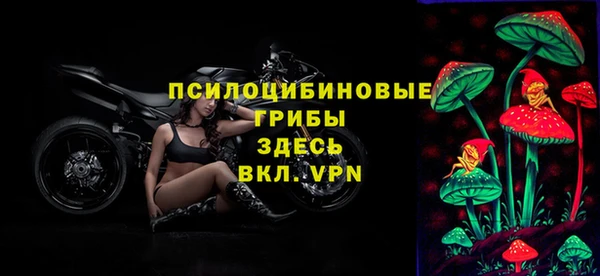 амфетамин Елизово