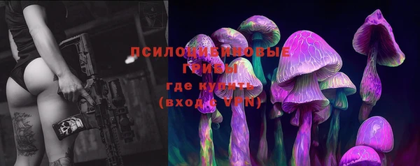 амфетамин Елизово