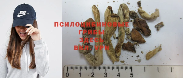 гидра Елабуга