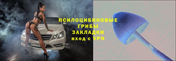 гидра Елабуга