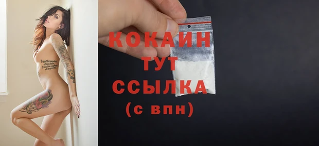 гидра Елабуга