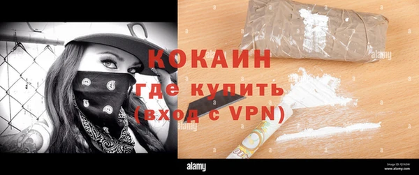 гидра Елабуга