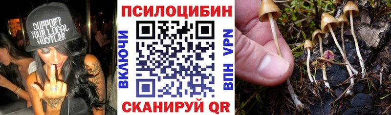 Псилоцибиновые грибы прущие грибы  Купить где  Никольское 