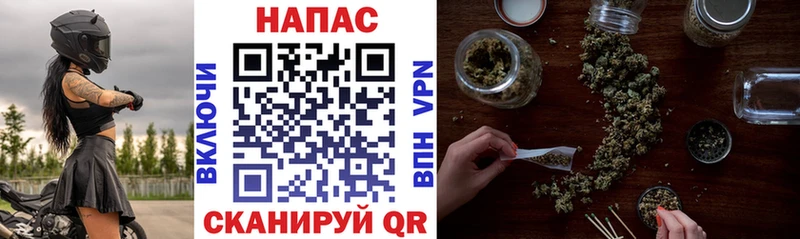 Бошки Шишки планчик Никольское